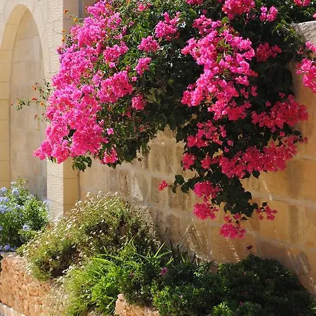 Gozo Hills *
